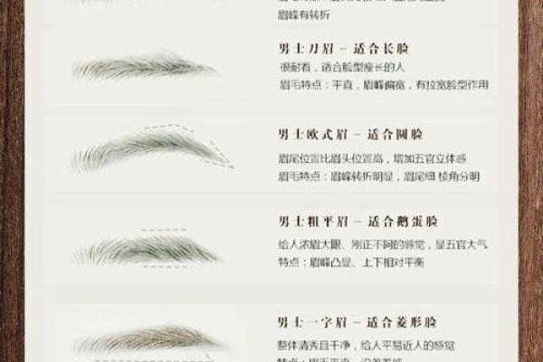 风水面相哪三种眉毛男人最好命