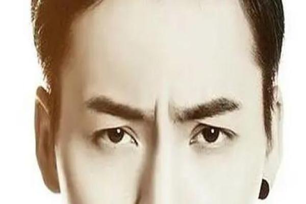 风水面相哪三种眉毛男人最好命