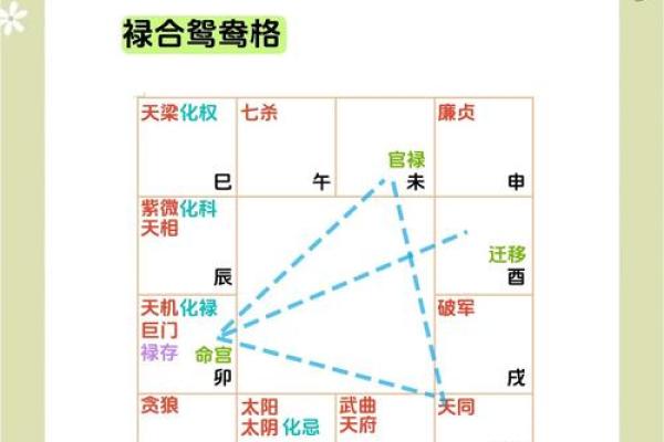 紫微斗数哪些是财星,天机、太阳、太阴和廉贞！