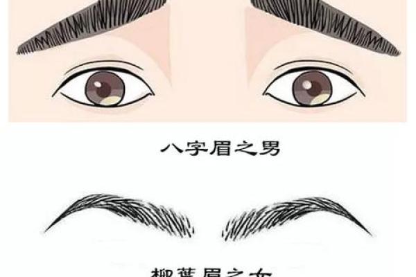 面相带你看八字眉男人能不能嫁