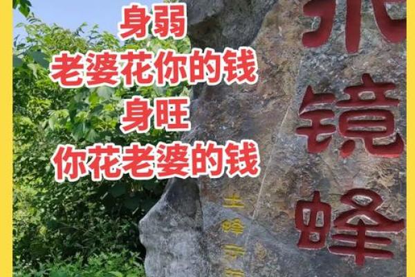 八字命理：你缺的不是基础，而是一篇文章