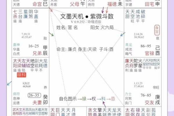 紫微斗数天相星在事业宫的解析 #东方星象学