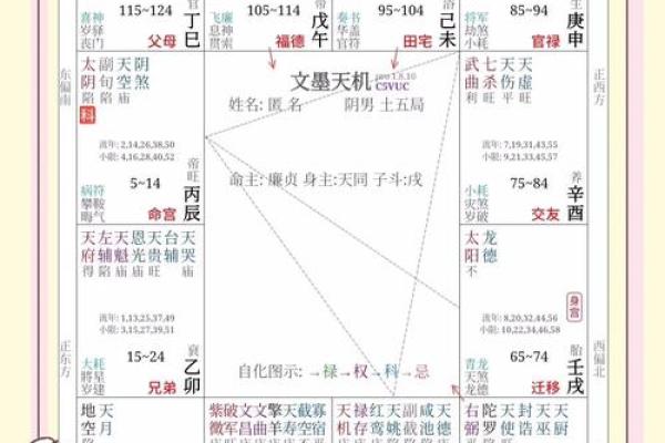 紫微斗数天相星在事业宫的解析 #东方星象学