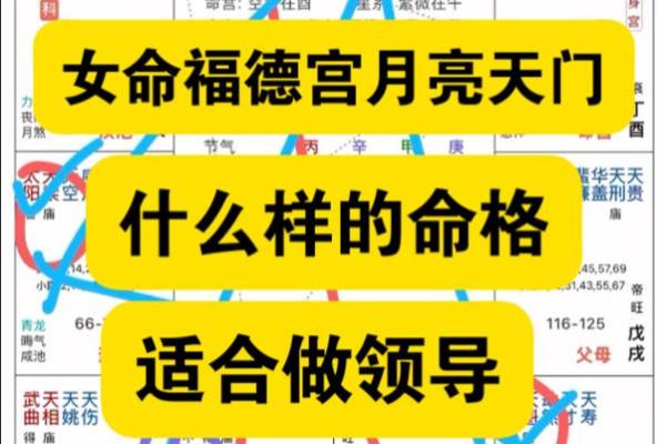 紫薇斗数服务