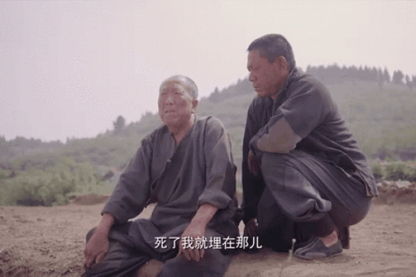 老农民算命大全