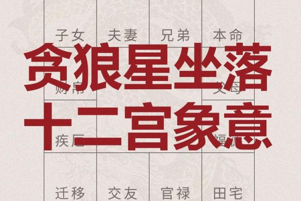 紫薇斗数贪狼火星