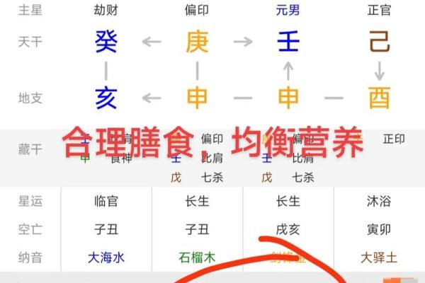 免费四柱八字排盘详解