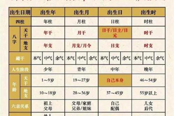 什么样的八字聪明灵活