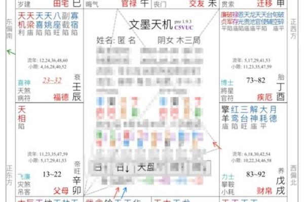 戊戌年紫薇斗数