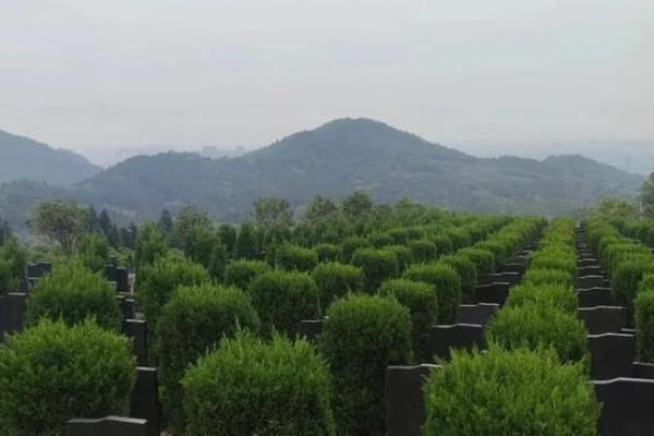 什么样的坟地风水好