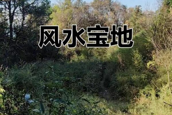风水好的地方 风水好的地方特征