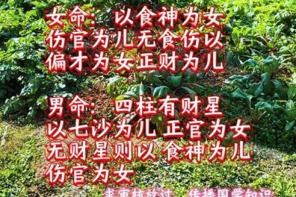 李涵辰算命
