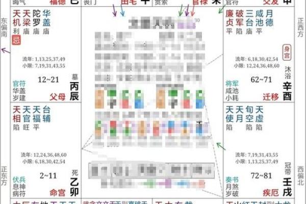 配偶本地外地紫薇斗数