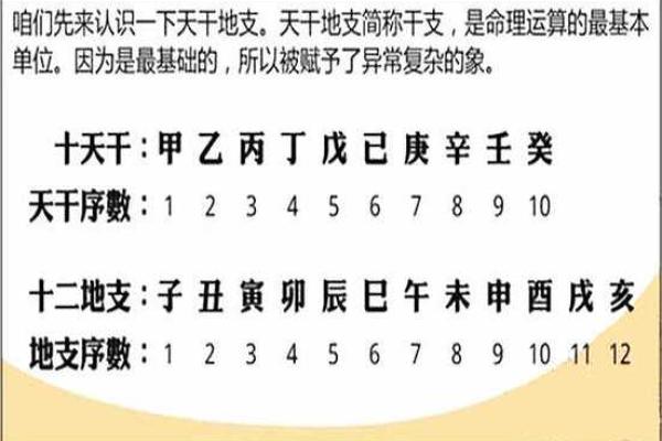 八字到底有多少种？