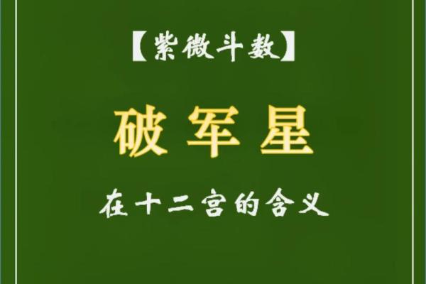 紫薇斗数厉害吗