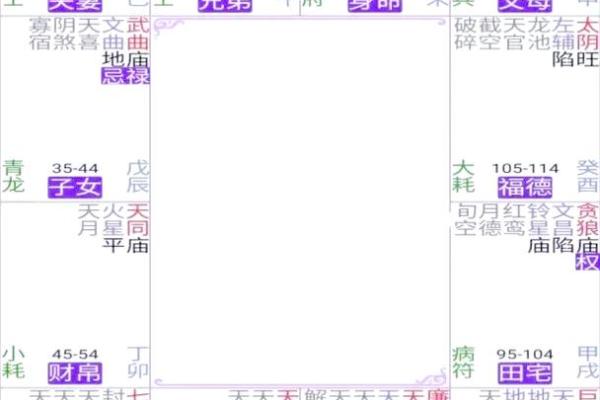 紫薇斗数今日运势
