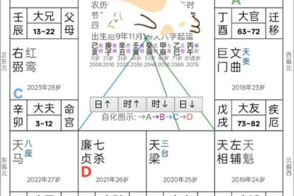 元贞紫薇斗数