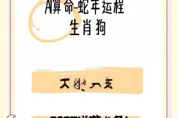 算命属狗岁女儿