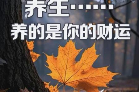 风水财运_人这辈子的财运有多少其实是安排好的