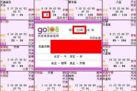紫微斗数大限昌曲如何排 紫微斗数大限宫？