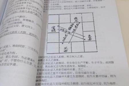 紫薇斗数书推荐