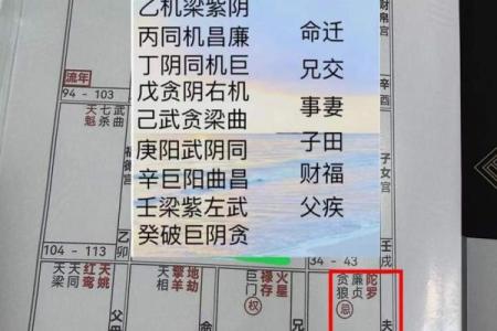 紫薇斗数禁忌