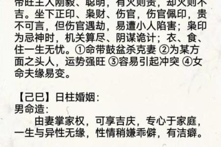 己亥生辰八字详解大全女命