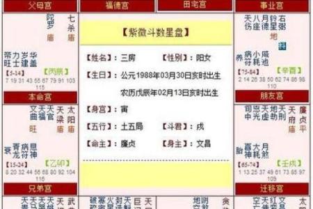 紫薇斗数怎么数岁数