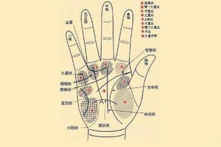 女性左手掌纹手相算命准吗