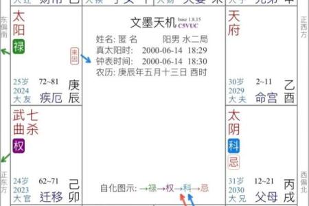 适合外地创业紫薇斗数