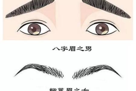 面相带你看八字眉男人能不能嫁