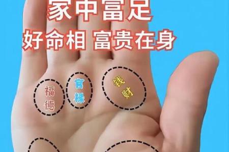手相算命破解