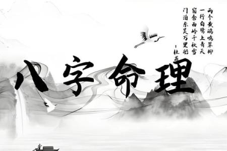 八字命理：你缺的不是基础，而是一篇文章