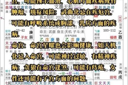 紫微斗数骨髓赋注解 骨髓赋与女命骨髓赋？