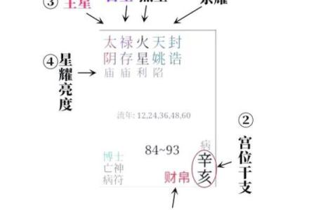 紫薇斗数木火通明