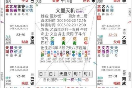紫微斗数之命例推演：例二　命盘见后