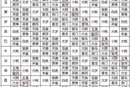 八字算命为何双胞胎的命运会出现不同的结局