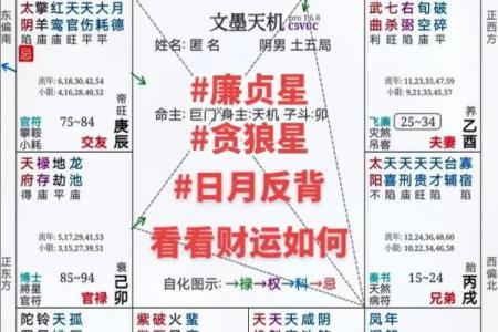 紫薇斗数免费测算财运