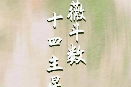 手机紫薇斗数app