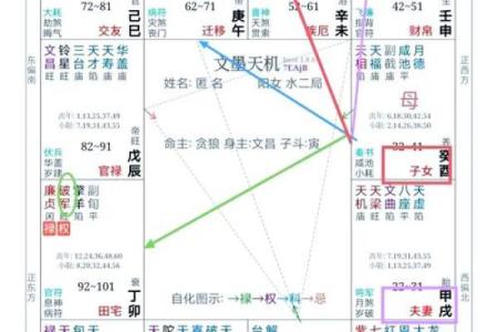 紫薇斗数看必结婚