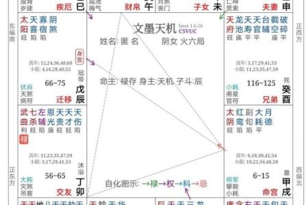 紫薇斗数各星意象