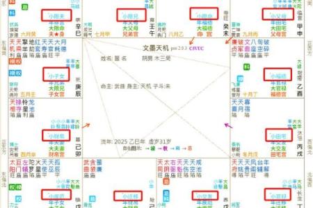 紫薇斗数小限是什么