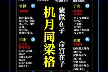 紫微命格查询表 紫微斗数之144种命格