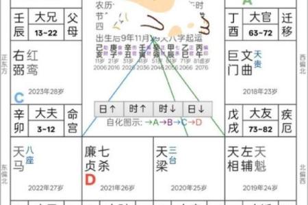元贞紫薇斗数