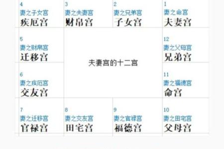 紫薇斗数先天命盘和大运命盘什么意思
