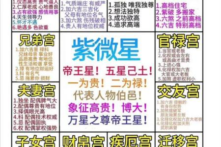 紫薇斗数七杀有哪些