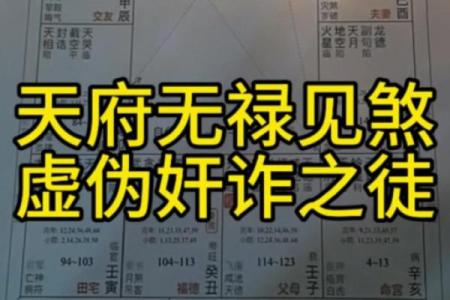 紫薇斗数反格