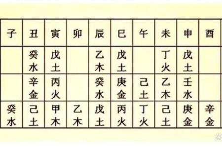 快速学八字，我有小秘方！