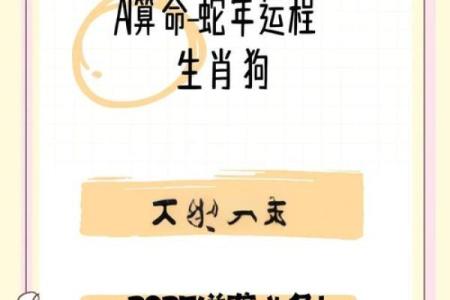 算命属狗岁女儿