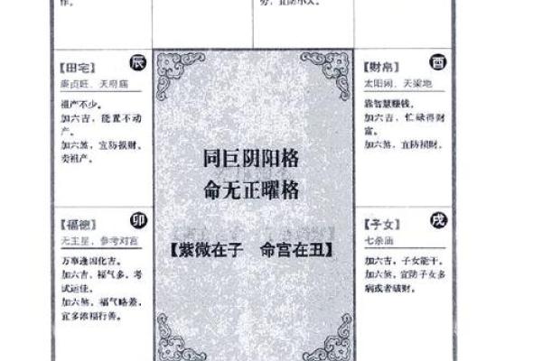 占星紫薇斗数